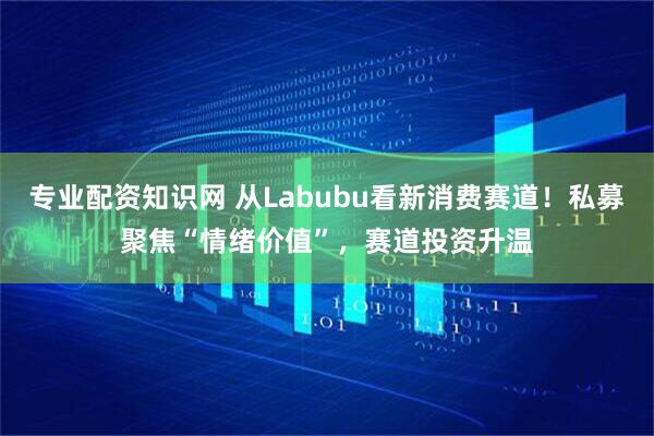 专业配资知识网 从Labubu看新消费赛道！私募聚焦“情绪价值”，赛道投资升温