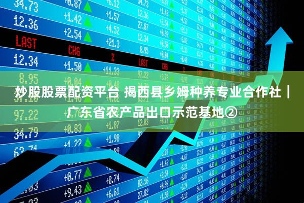 炒股股票配资平台 揭西县乡姆种养专业合作社｜广东省农产品出口示范基地②