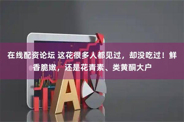 在线配资论坛 这花很多人都见过，却没吃过！鲜香脆嫩，还是花青素、类黄酮大户